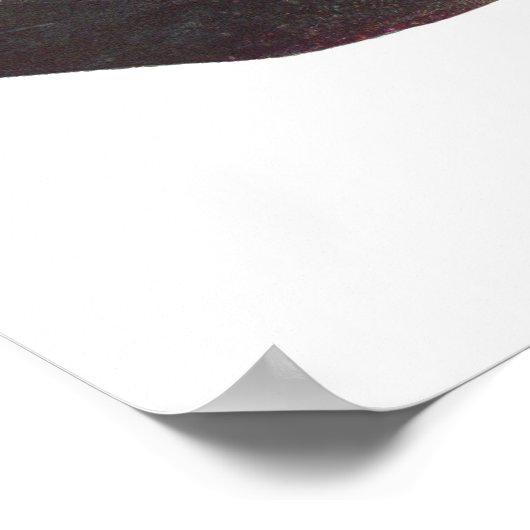 Vis - Qld. Lungfish - Neoceratodus forsteri Poster (Hoek)