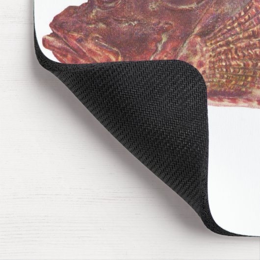 Vis - Red Rock Cod - Scorpaena cardinalis Muismat (Hoek)