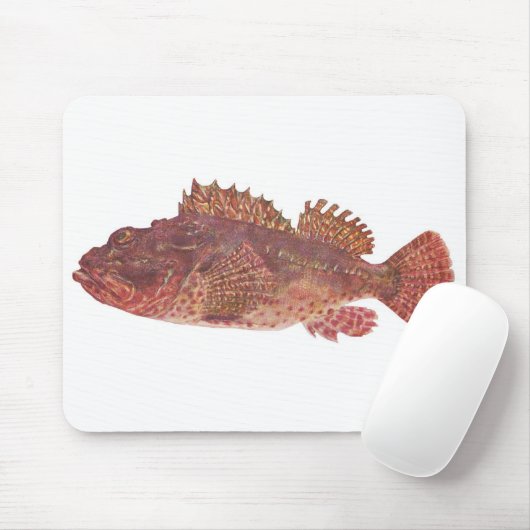 Vis - Red Rock Cod - Scorpaena cardinalis Muismat (Met muis)