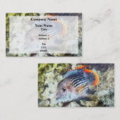 Vis - Regenschaal Visitekaartje (Voorkant / Achterkant)