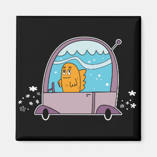 Vis Rijden Een Auto - Magneet