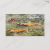 Vis - School Of Koi': Visitekaartje (Achterkant)