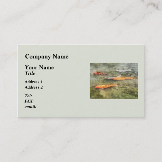 Vis - School Of Koi': Visitekaartje (Voorkant)