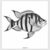  vis sealife oceaan dieren illustratie sticker (Vel)