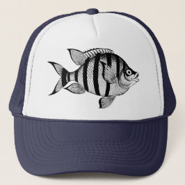  vis sealife oceaan dieren illustratie trucker pet