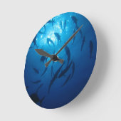 Vis Shoal en zonlicht Onder het Zee Ronde Klok (Hoek)