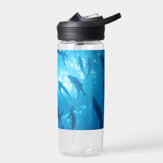 Vis Shoal en zonlicht Onder het Zee Waterfles (Links)