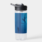 Vis Shoal en zonlicht Onder het Zee Waterfles (Rechts)