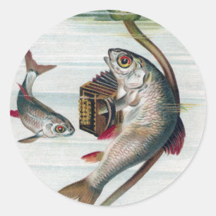 Vis Spelen Accordion en Waterlelie Ronde Sticker