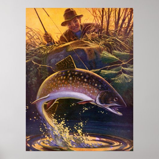  vis, sport Gevist voor Brook Trout Poster (Voorkant)