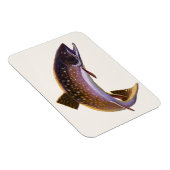  vis, sportvisserij Gevist Magneet (Rechterzijde)