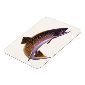  vis, sportvisserij Gevist Magneet (Linkerzijde)