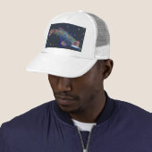 vis trucker pet (In situ)