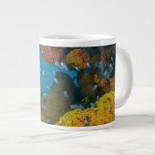 Vis tussen koraalrif grote koffiekop (Voorkant rechts)