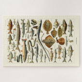  vis van Adolphe Millot Legpuzzel (Horizontaal)