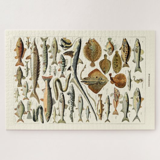  vis van Adolphe Millot Legpuzzel (Horizontaal)