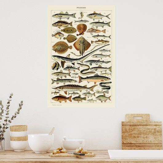  vis van Adolphe Millot Poster (Keuken)