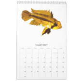 Vis van de wereld in 2010 kalender (Jan 2027)