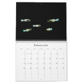 Vis van de wereld kalender (Feb 2026)