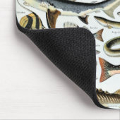  vis van de wereld muismat (Hoek)