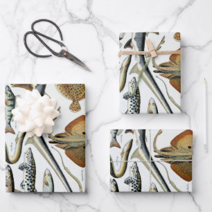  vis van de WereldPoster Inpakpapier Vel