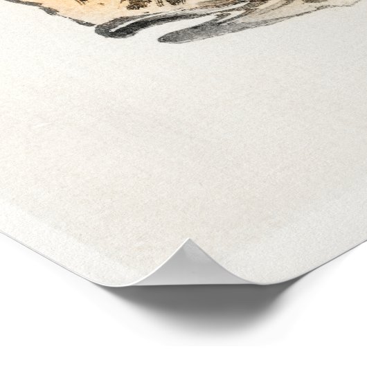 Vis van Kono Bairei (1844-1895) Poster (Hoek)