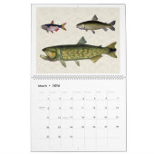 Vis van Zuid-Amerika 2026 Kalender (Mar 2026)