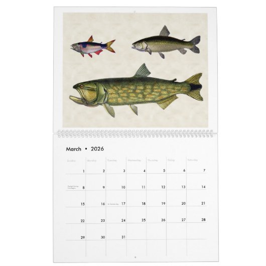 Vis van Zuid-Amerika 2026 Kalender (Mar 2026)