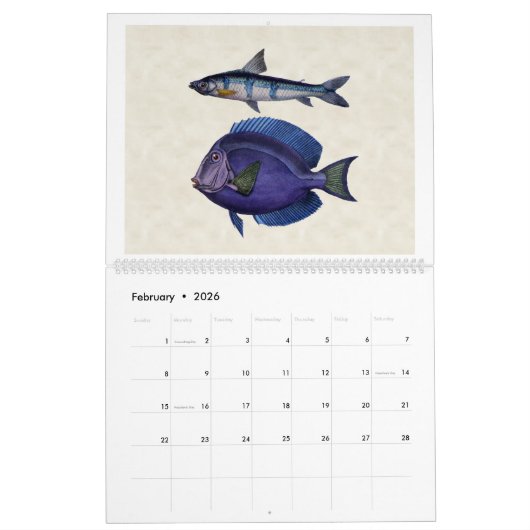 Vis van Zuid-Amerika 2026 Kalender (Feb 2026)