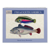Vis van Zuid-Amerika 2026 Kalender (Hoes)