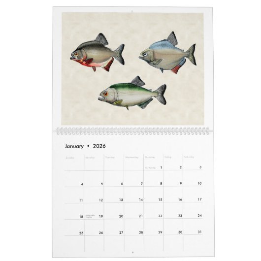 Vis van Zuid-Amerika 2026 Kalender (Jan 2026)