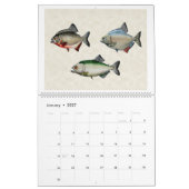 Vis van Zuid-Amerika 2026 Kalender (Jan 2027)