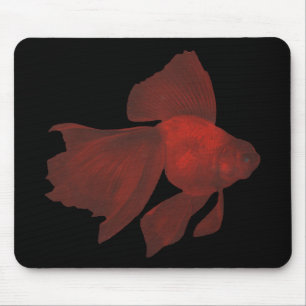 Vis - Veiltail Goldfish - Carassius auratus Muismat