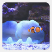 vis vierkante sticker (Voorkant)