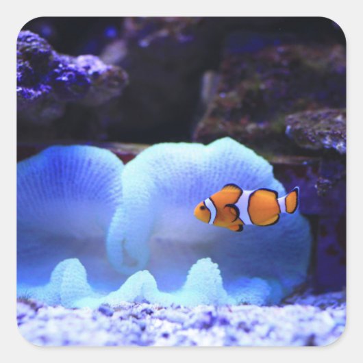 vis vierkante sticker (Voorkant)