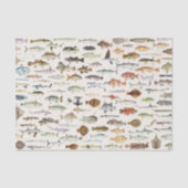 Vis Vissen Decoupage Tissuepapier (Voorkant)