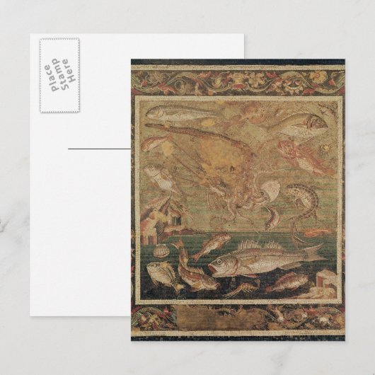 Vis, weekdieren en schaaldieren briefkaart (Voorkant / Achterkant)