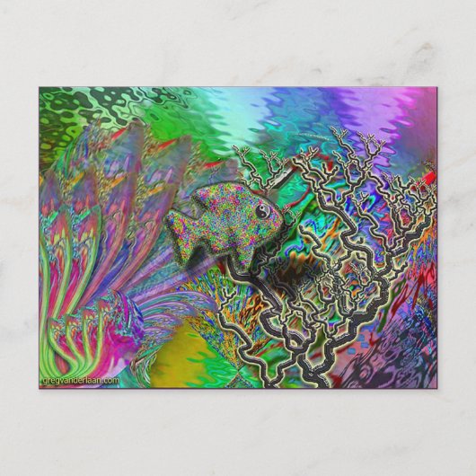 vis-yinyang briefkaart (Voorkant)