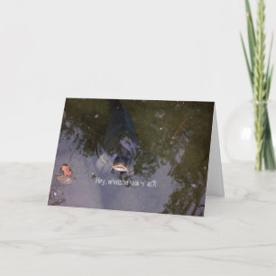 visachtig gevoel kaart