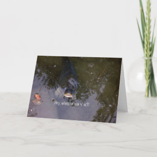 visachtig gevoel kaart