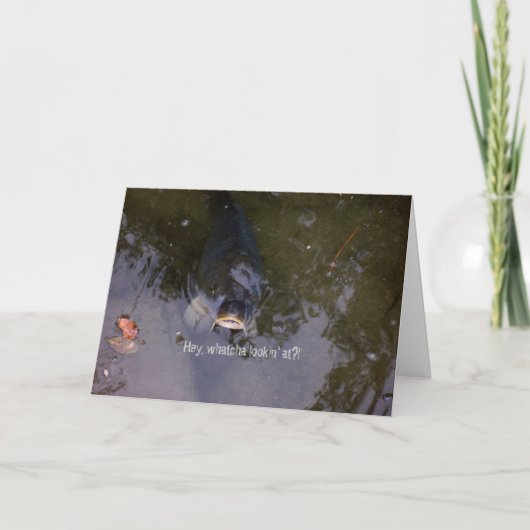 visachtig gevoel kaart (Voorkant)