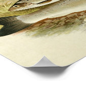  visafdrukken 021 | Zwarte forel Poster (Hoek)