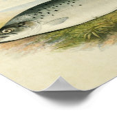 visafdrukken 032 | Zalmforel Poster (Hoek)