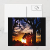 Visalia Sunset Briefkaart (Voorkant / Achterkant)