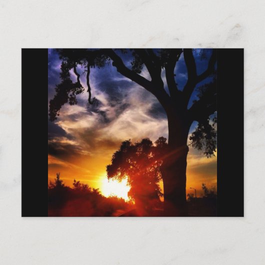 Visalia Sunset Briefkaart (Voorkant)