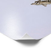 Visarend die door een rode gevleugelde merel foto afdruk (Hoek)