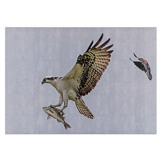 Visarend die door een rode gevleugelde merel snijplank (Voorkant)