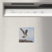 Visarend in een nest magneet (Insitu (Vaatwasser))