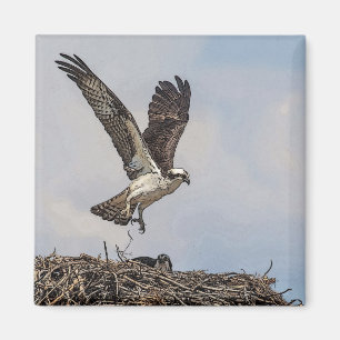 Visarend in een nest magneet
