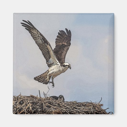 Visarend in een nest magneet (Voorkant)
